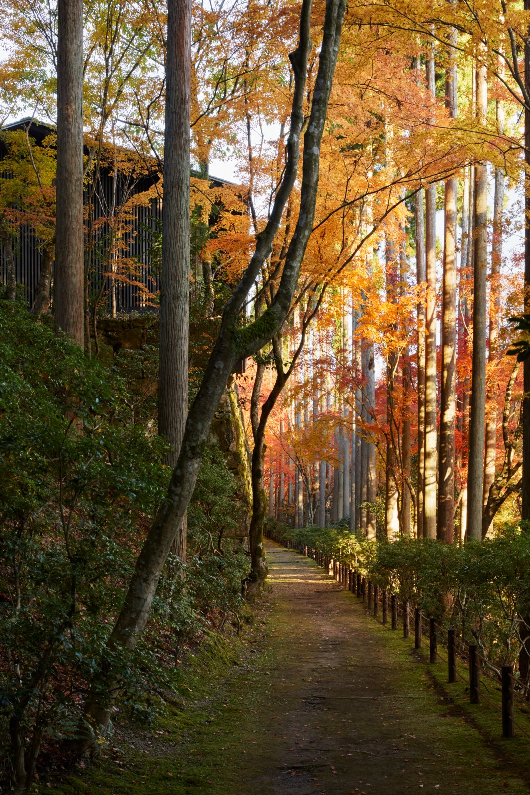 Aman Kyoto — photo 7