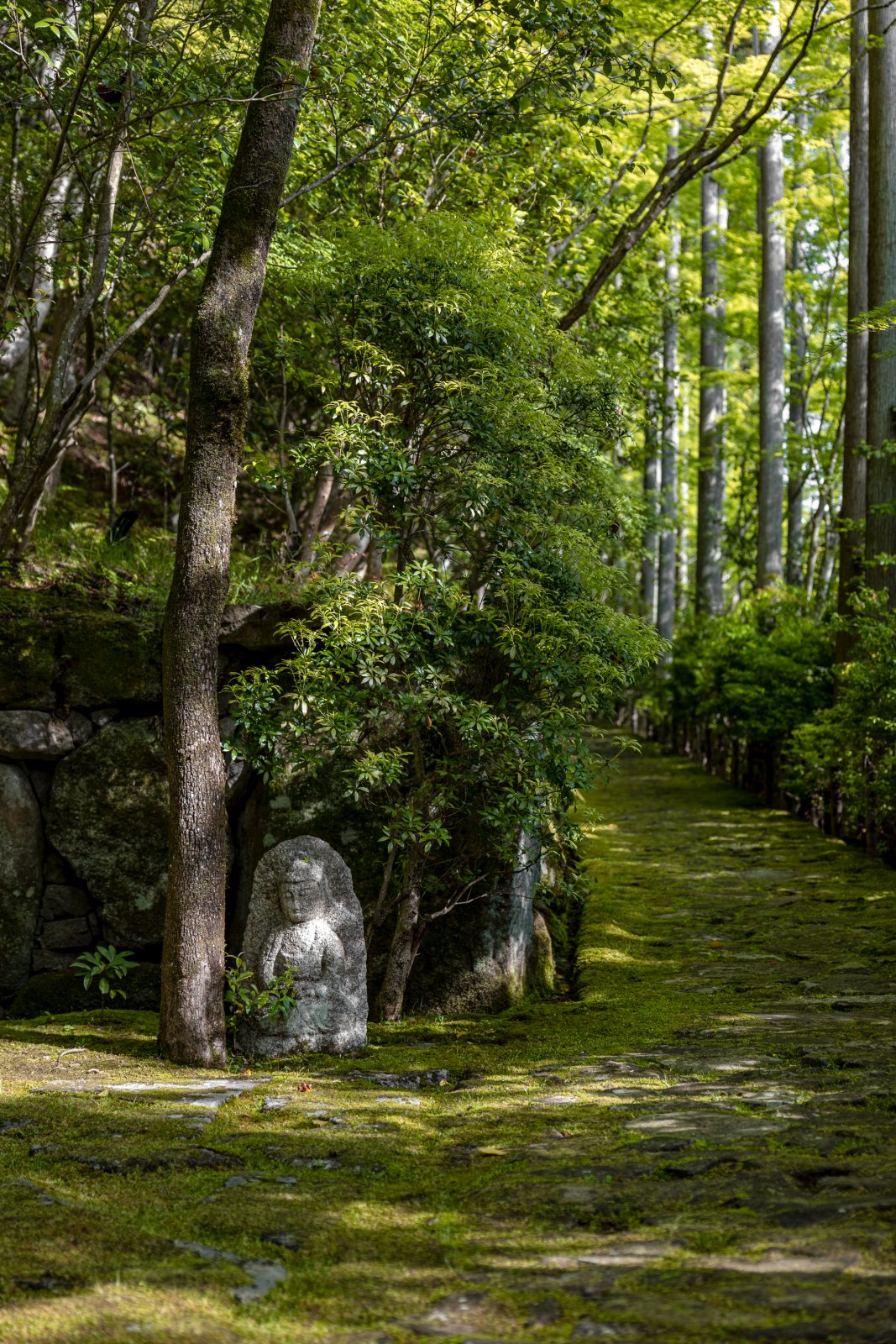 Aman Kyoto — photo 8