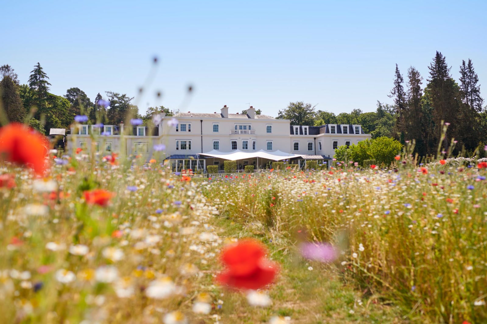 Coworth Park, Dorchester Collection — photo 2