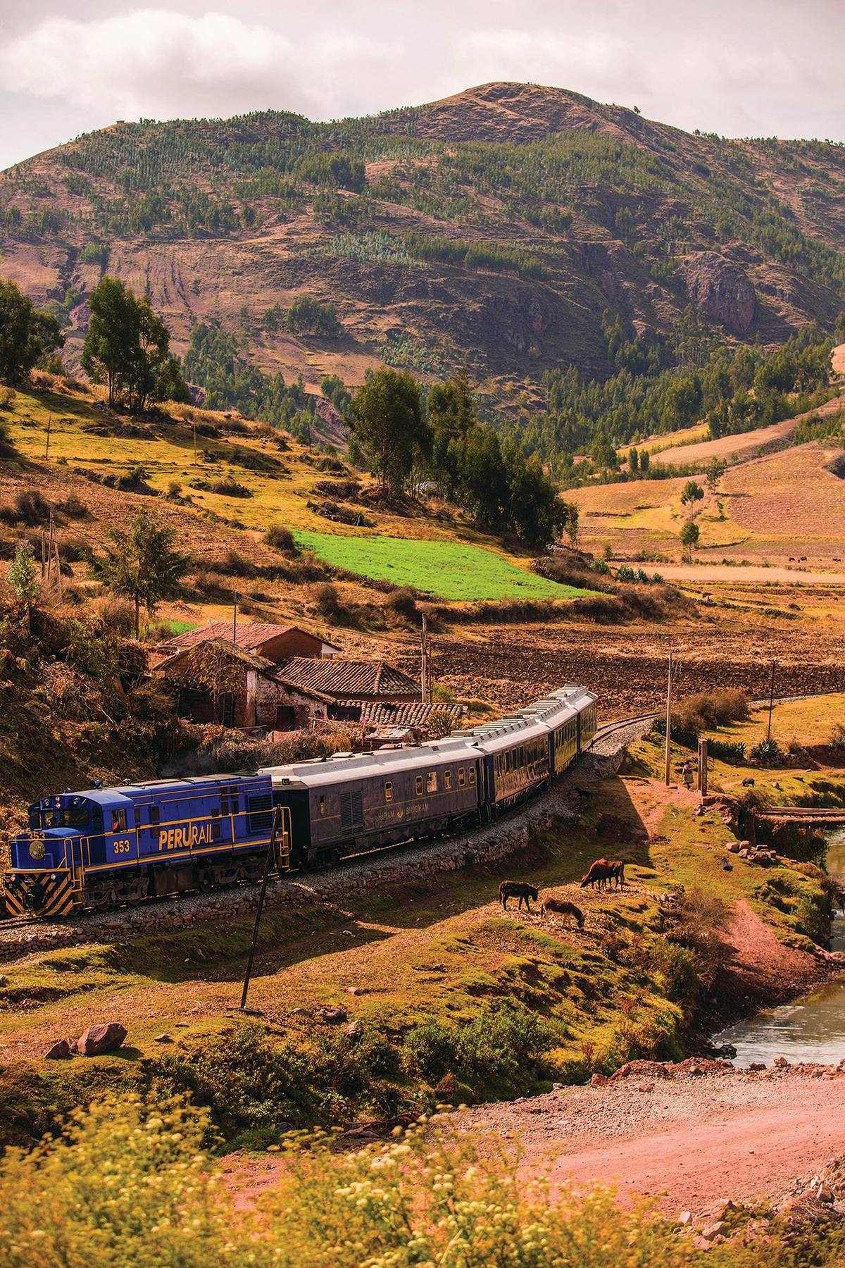 Hiram Bingham, A Belmond Train — photo 8