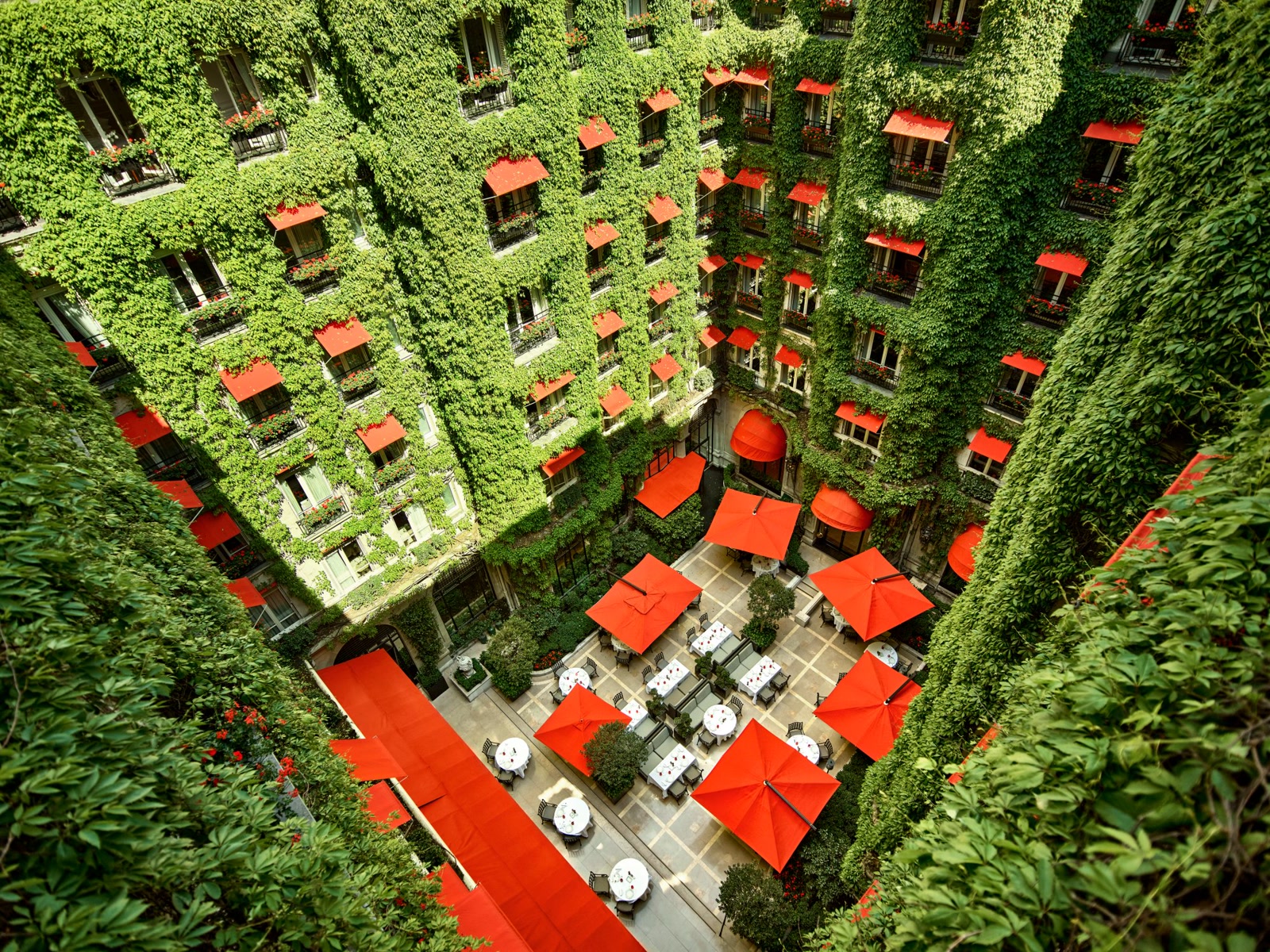 Hôtel Plaza Athénée — photo 3