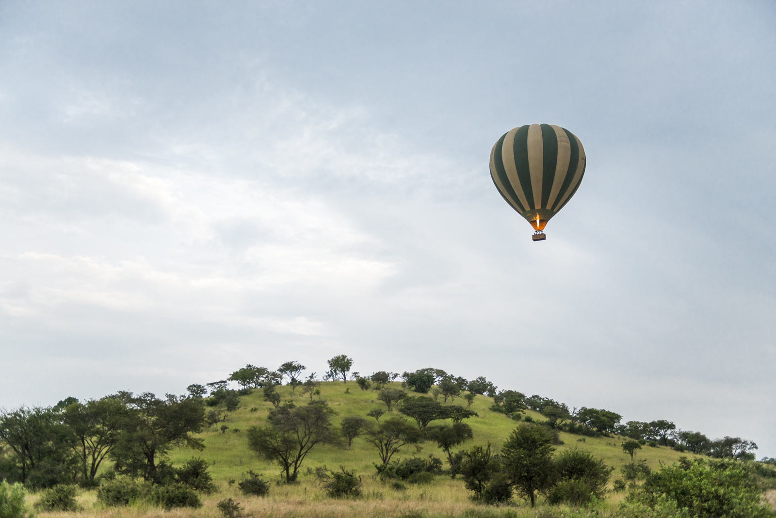 Singita Grumeti — photo 2