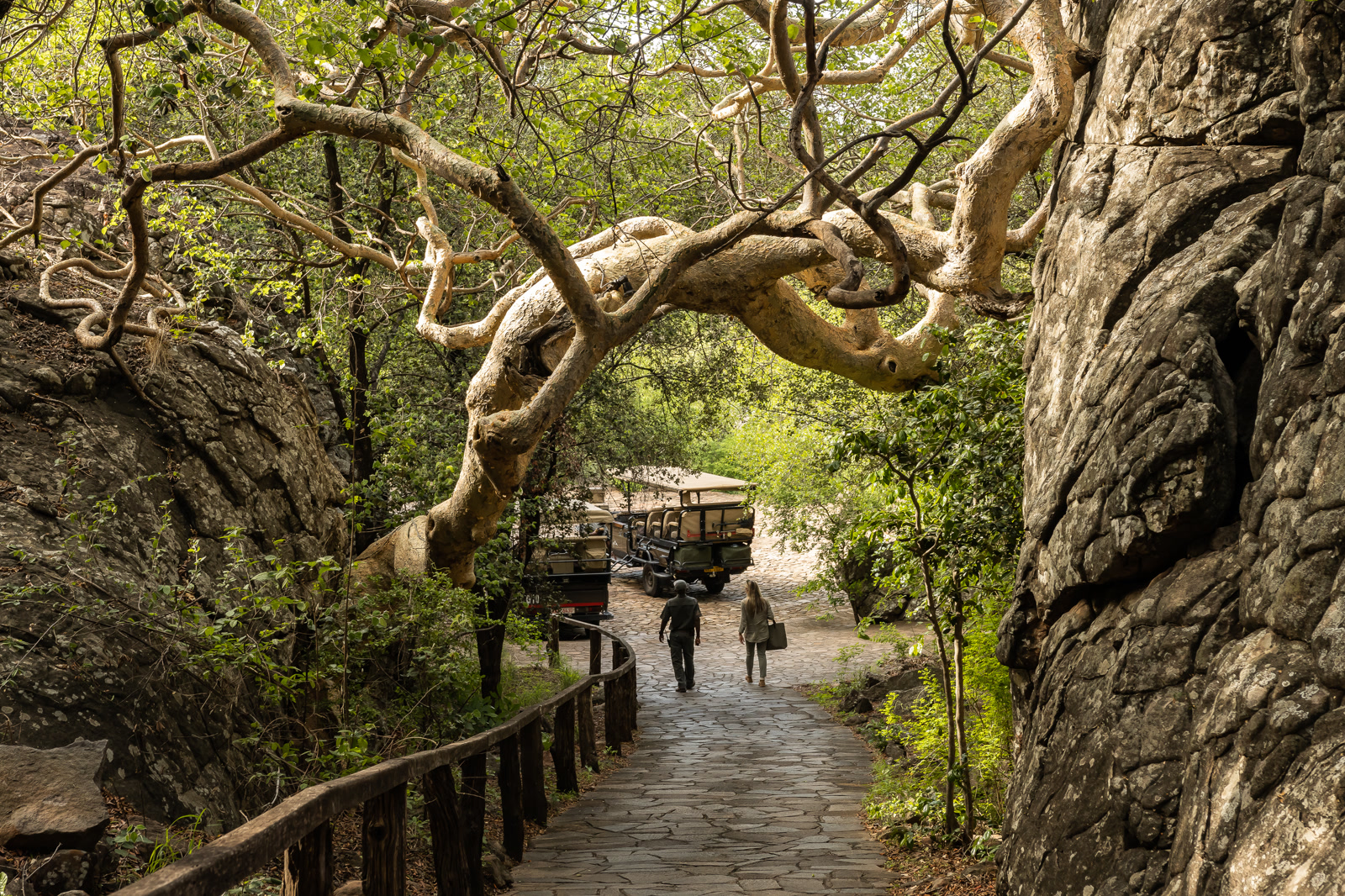 Singita Pamushana Lodge — photo 7