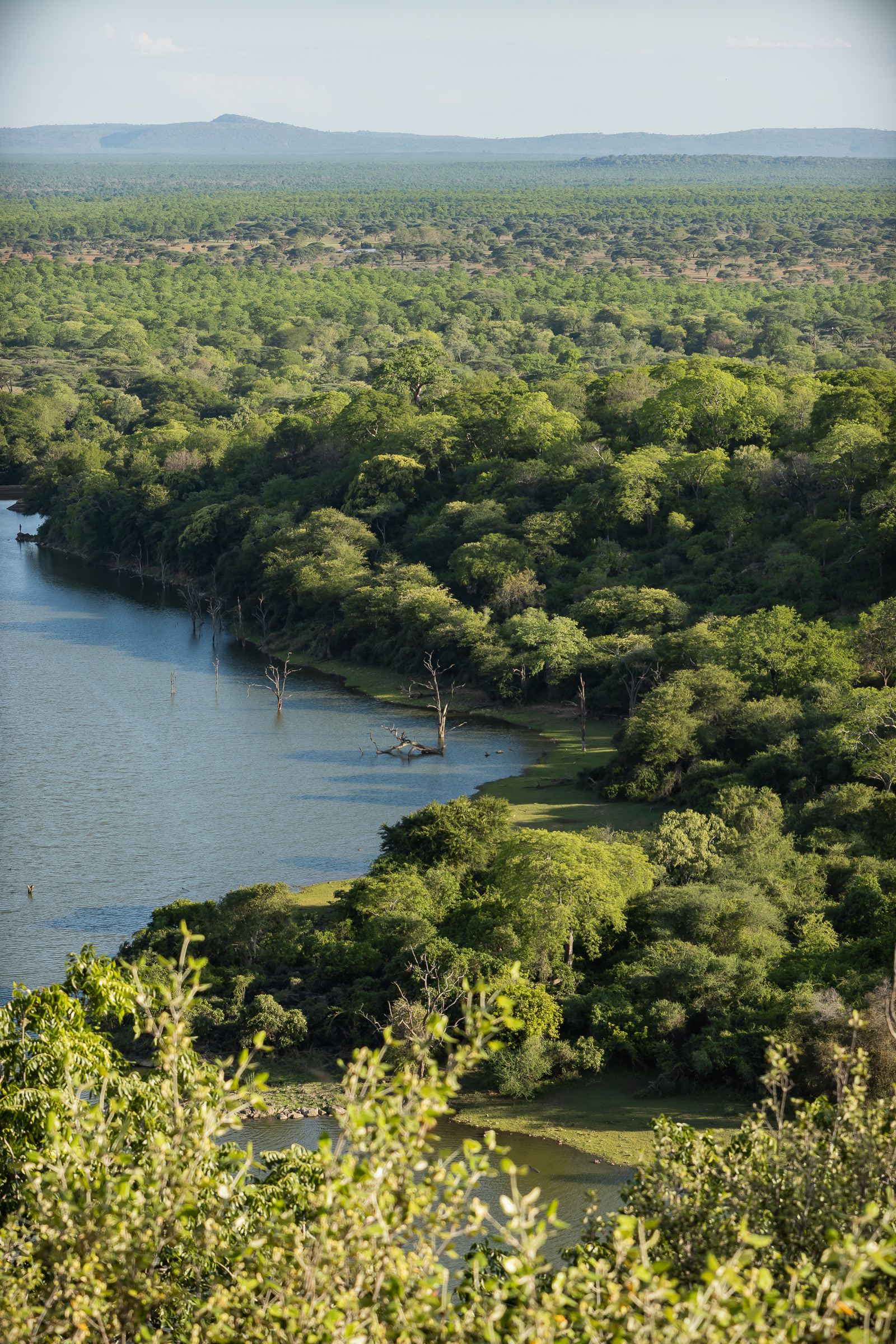 Singita Pamushana Lodge — photo 8