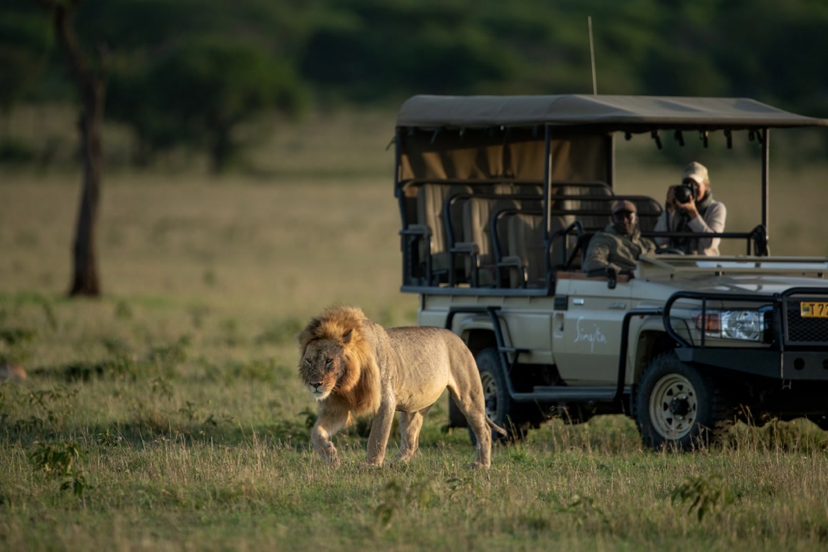 Singita Sasakwa Lodge — photo 13